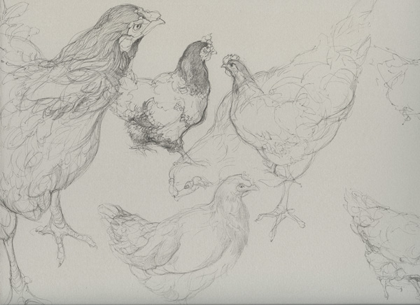 chix