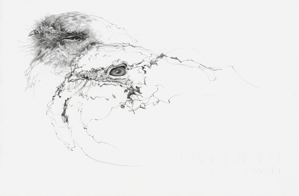 paur_sketch_01 paur_sketch_01