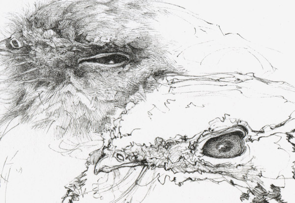 paur_sketch_det_01 paur_sketch_det_01