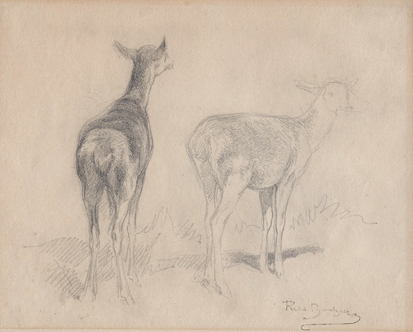 bonheur-elk