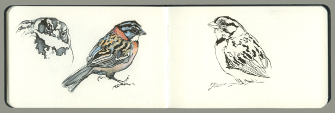 01_Sketchbook_2012_08