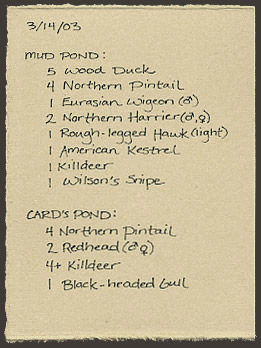 bird list