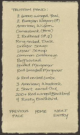 bird list